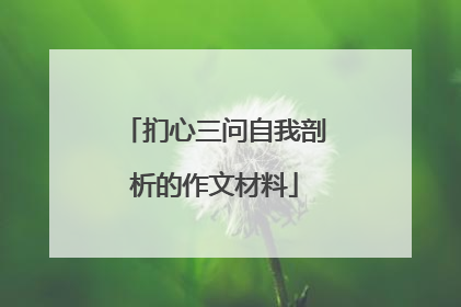 扪心三问自我剖析的作文材料