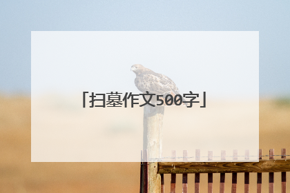 扫墓作文500字