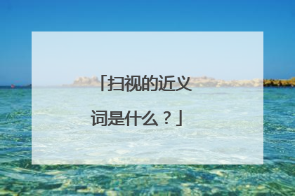 扫视的近义词是什么？