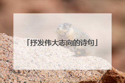抒发伟大志向的诗句