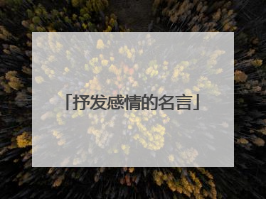抒发感情的名言