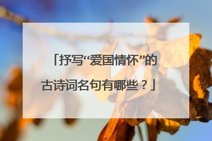 抒写“爱国情怀”的古诗词名句有哪些？