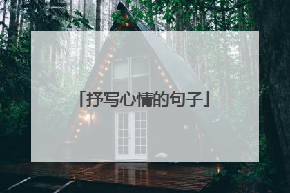 抒写心情的句子