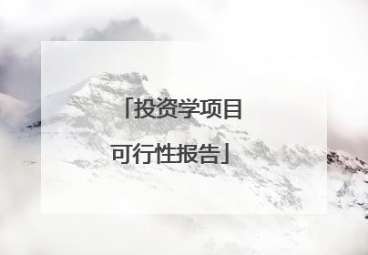 投资学项目可行性报告