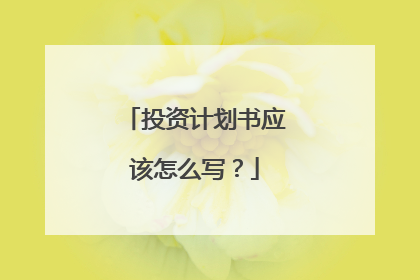 投资计划书应该怎么写？