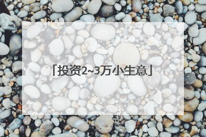 投资2~3万小生意