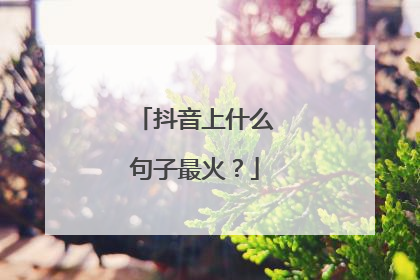 抖音上什么句子最火？