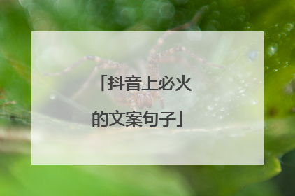 抖音上必火的文案句子