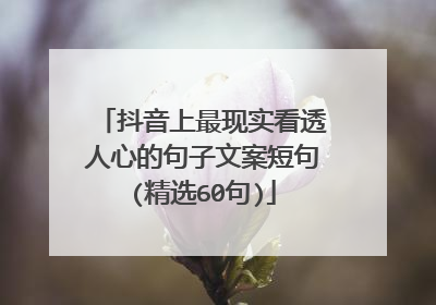 抖音上最現實看透人心的句子文案短句(精選60句)