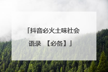 抖音必火土味社会语录 【必备】