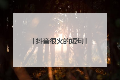 抖音很火的短句