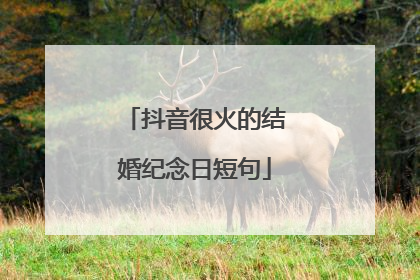 抖音很火的结婚纪念日短句