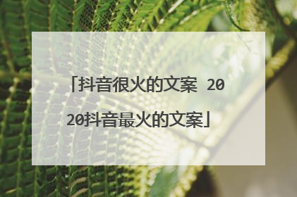 抖音很火的文案 2020抖音最火的文案