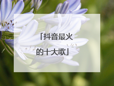 抖音最火的十大歌