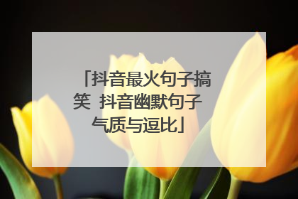 抖音最火句子搞笑 抖音幽默句子气质与逗比