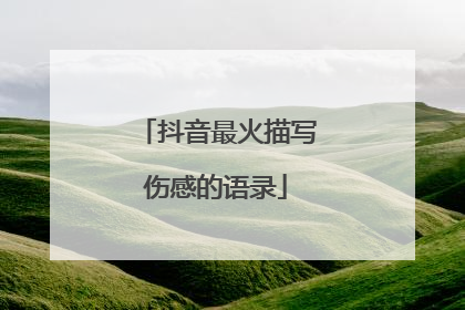 抖音最火描写伤感的语录