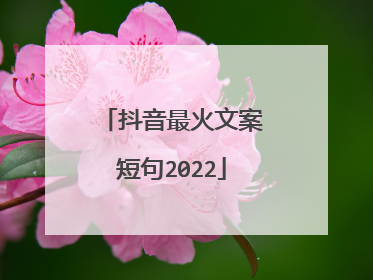 抖音最火文案短句2022