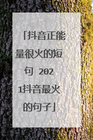 抖音正能量很火的短句 2021抖音最火的句子