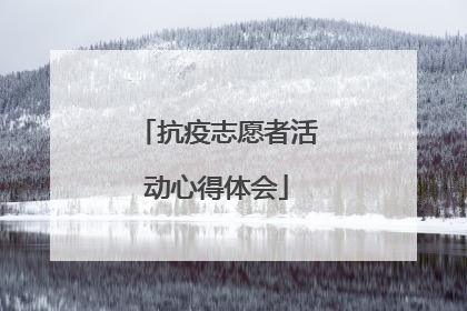 抗疫志愿者活动心得体会