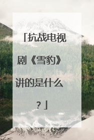 抗战电视剧《雪豹》讲的是什么？