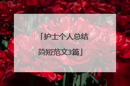 护士个人总结简短范文3篇