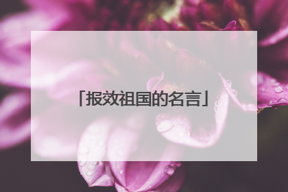 报效祖国的名言