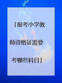 报考小学教师资格证需要考哪些科目