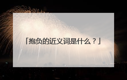 抱负的近义词是什么?