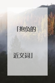 抱负的近义词