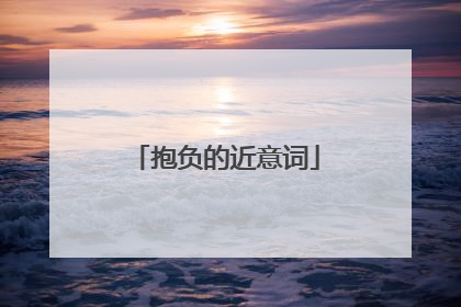 抱负的近意词