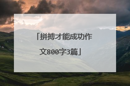 拼搏才能成功作文800字3篇