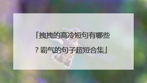 拽拽的高冷短句有哪些?霸气的句子超短合集