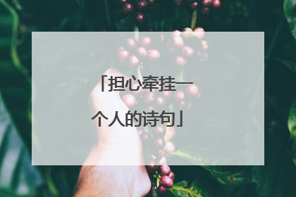 担心牵挂一个人的诗句