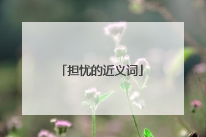 担忧的近义词