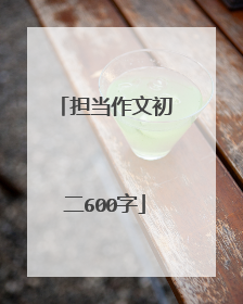 担当作文初二600字