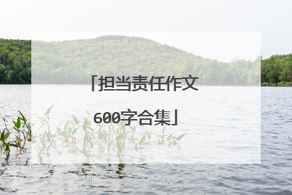 担当责任作文600字合集