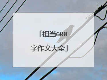 担当600字作文大全