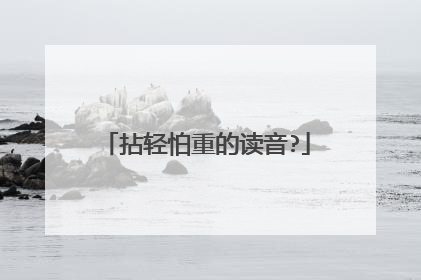 拈轻怕重的读音?