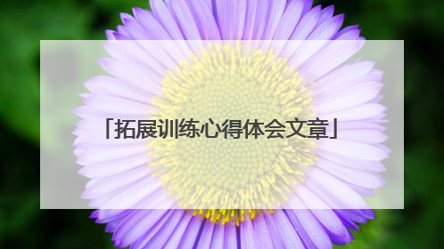 拓展训练心得体会文章