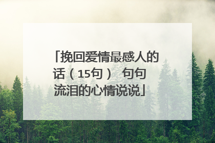 挽回爱情最感人的话（15句） 句句流泪的心情说说