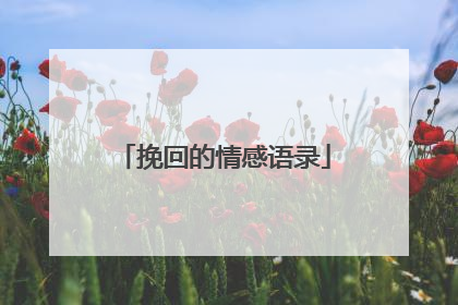 挽回的情感语录