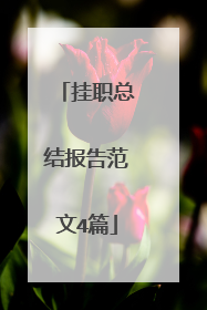 挂职总结报告范文4篇