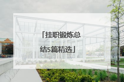 挂职锻炼总结5篇精选