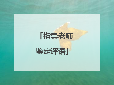指导老师鉴定评语