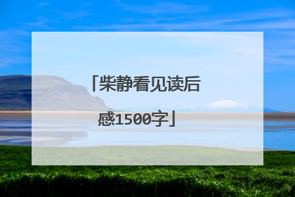柴静看见读后感1500字