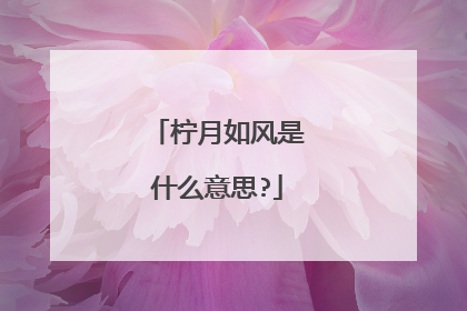 柠月如风是什么意思?