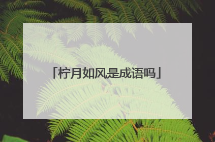 柠月如风是成语吗