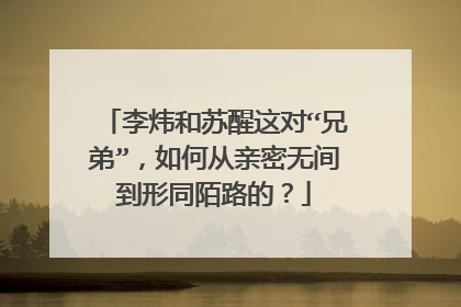 李炜和苏醒这对“兄弟”,如何从亲密无间到形同陌路的?