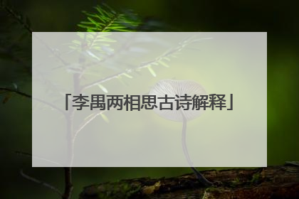李禺两相思古诗解释
