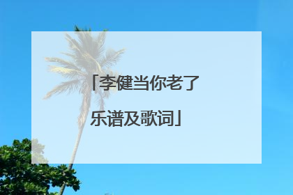 李健当你老了乐谱及歌词